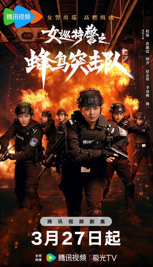 国产剧《女巡特警之蜂鸟突击队》1080P