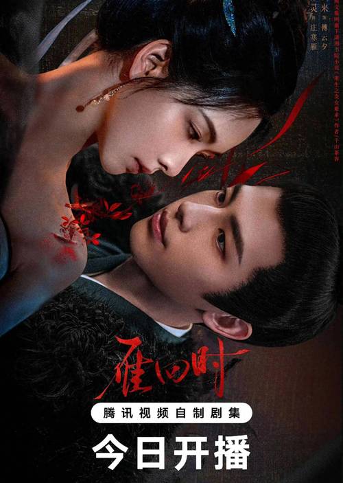国产剧《雁回时》1080P【超前完结】