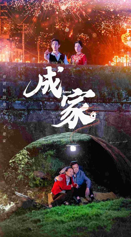 国产剧《成家》1080P