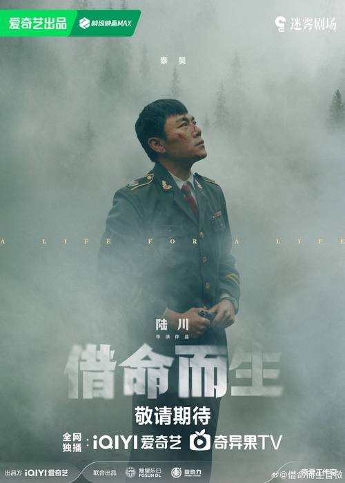 国产剧《借命而生》1080P