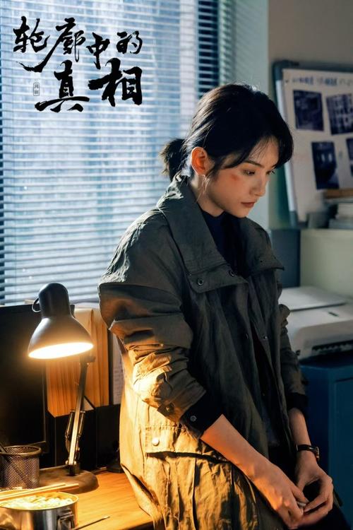 国产剧《轮廓中的真相》1080P
