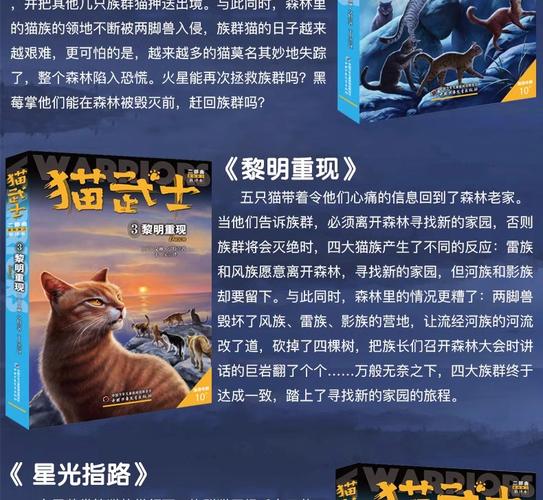 猫武士二部曲（套装共6册）