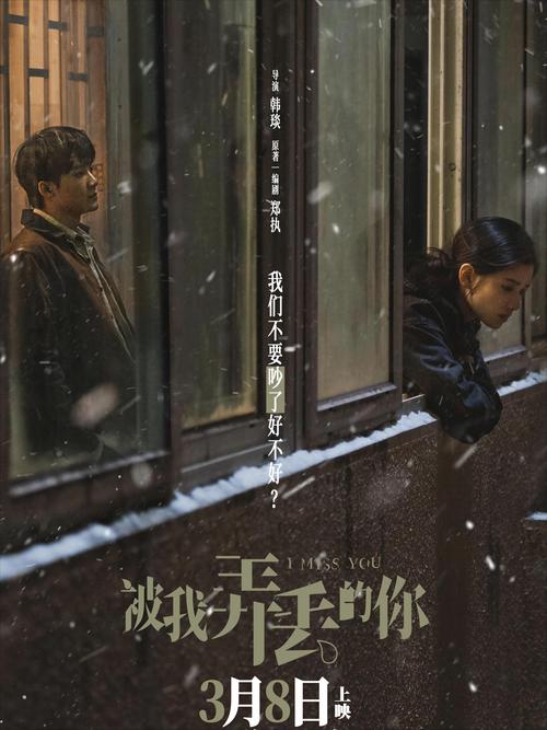 中国电影《被我弄丢的你》（HD1080P&4K）（铂金珍藏版）