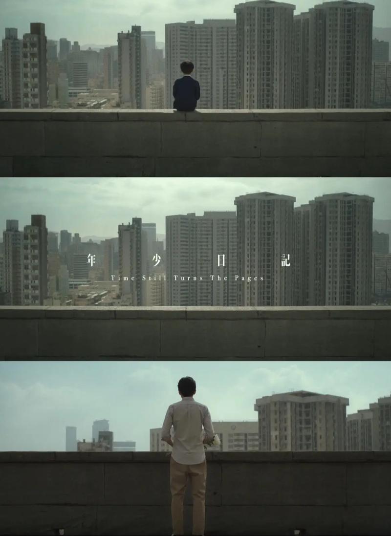 香港电影《年少日记》（HD1080P）（铂金珍藏版）