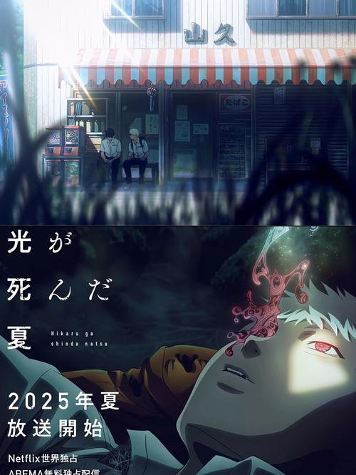 日动漫《光死去的夏天 光が死んだ夏》(2025)