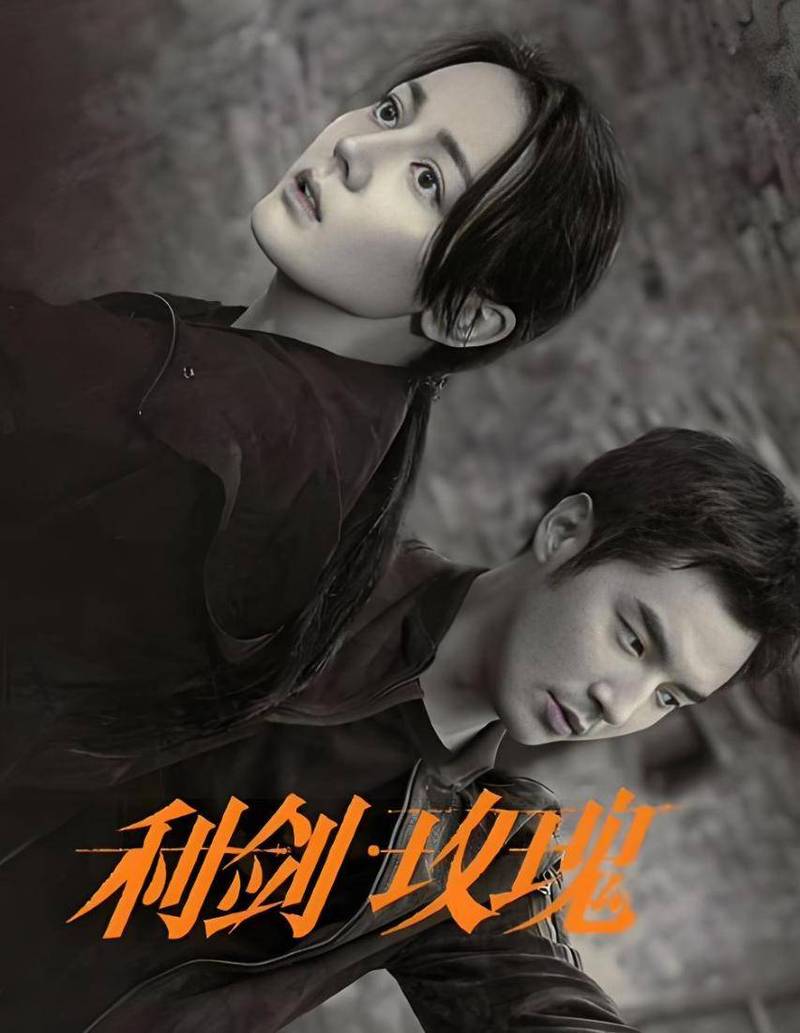 电视剧《利剑·玫瑰》1080P