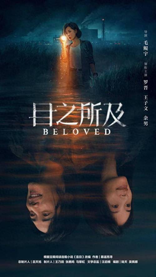 国产剧《目之所及》1080P