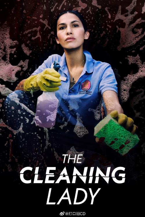 美剧《清洁工 第四季》